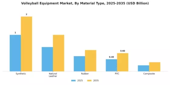 Volleyball Equipment Market Segment Image 2