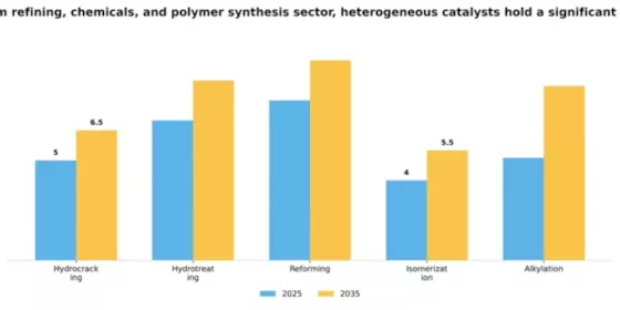 Catalysts Petroleum Refining Chemicals Polymer Synthesis Market Segment Image 0