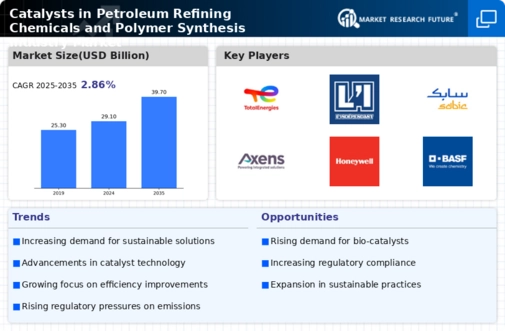 Catalysts Petroleum Refining Chemicals Polymer Synthesis Market Infographic