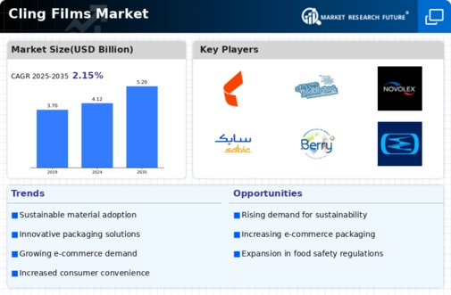 Cling Films Market Infographic
