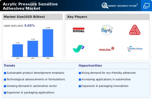 Acrylic Pressure Sensitive Adhesives Market Infographic