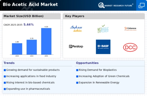 Bio Acetic Acid Market Infographic