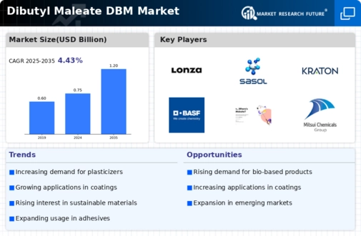 Dibutyl Maleate Market Infographic