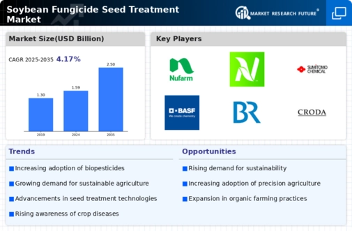 Soybean Fungicide Seed Treatment Market Infographic