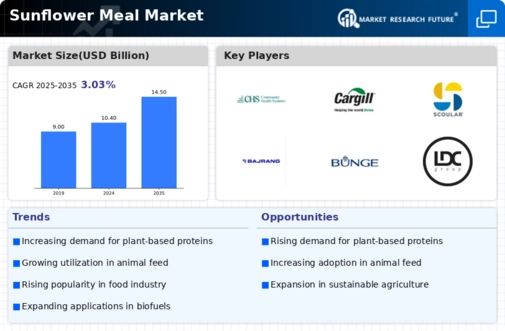 Sunflower Meal Market Infographic