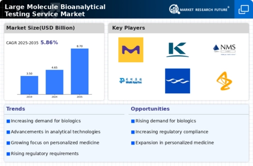 Large Molecule Bioanalytical Testing Service Market Infographic