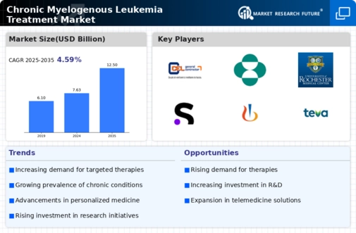 Chronic Myelogenous Leukemia Treatment Market Infographic
