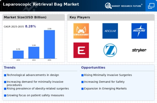 Laparoscopic Retrieval Bag Market Infographic