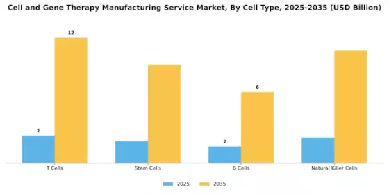 Cell And Gene Therapy Manufacturing Service Market Segment Image 0