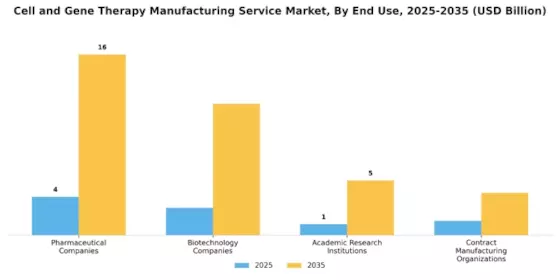 Cell And Gene Therapy Manufacturing Service Market Segment Image 1