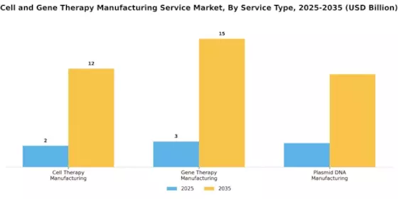 Cell And Gene Therapy Manufacturing Service Market Segment Image 3