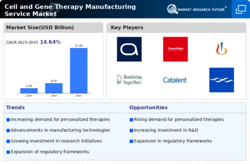Cell And Gene Therapy Manufacturing Service Market Infographic