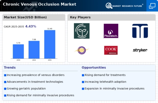 Chronic Venous Occlusion Market Infographic