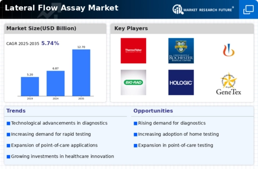 Lateral Flow Assay Market Infographic