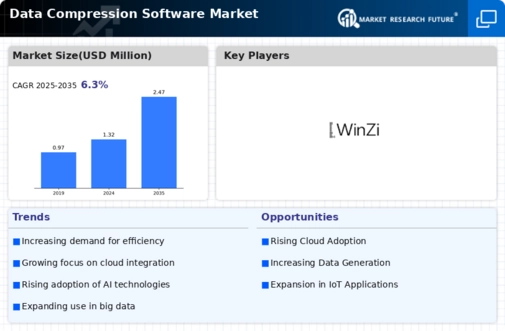 Data Compression Software Market Infographic