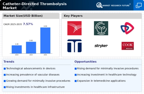 Catheter Directed Thrombolysis Market Infographic