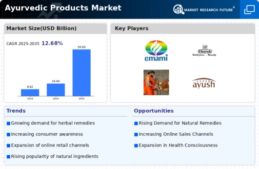 Ayurvedic Products Market Infographic