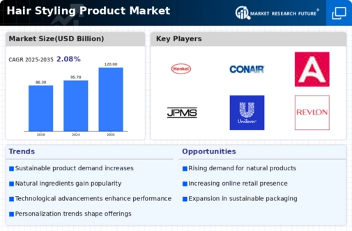 Hair Styling Product Market Infographic