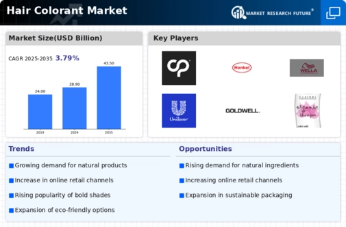 Hair Colorant Market Infographic
