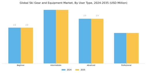 Ski Gear And Equipment Market Segment Image 1