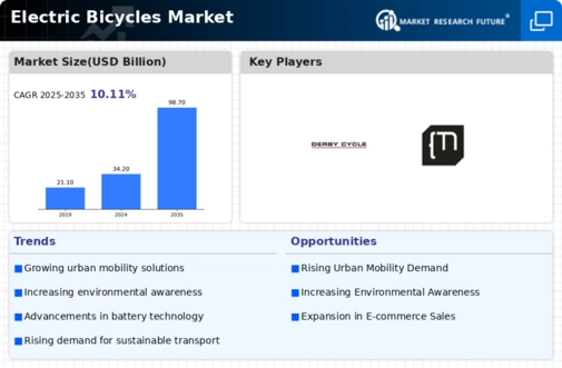 Electric bicycles Market Infographic