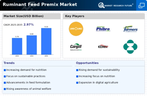 Ruminant Feed Premix Market Infographic
