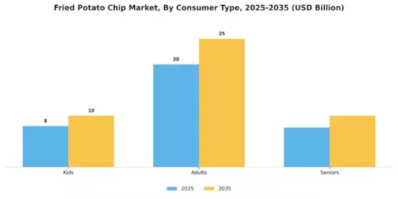 Fried Potato Chip Market Segment Image 0