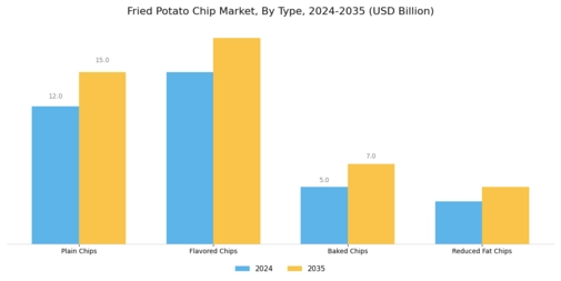 Fried Potato Chip Market Segment Image 0