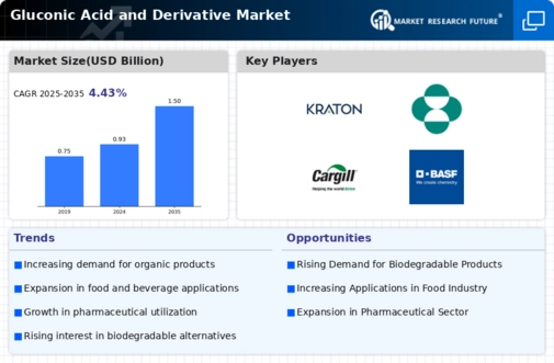 Gluconic Acid Derivative Market Infographic