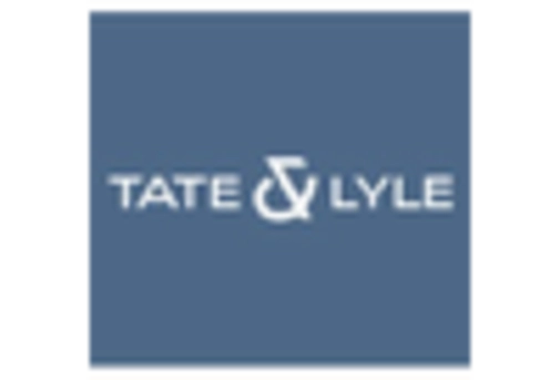 Starch Sweetener Market key player