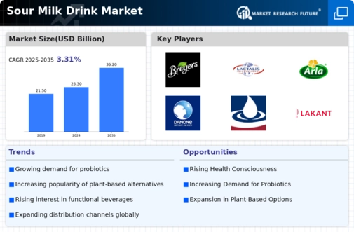 Sour Milk Drink Market Infographic