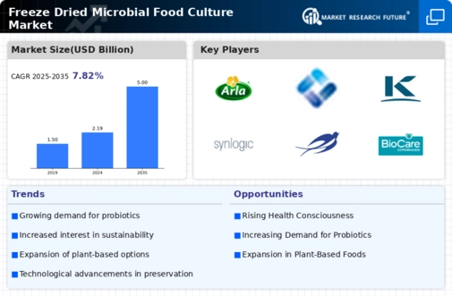 Freeze Dried Microbial Food Culture Market Infographic