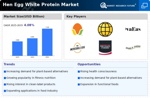Hen Egg White Protein Market Infographic