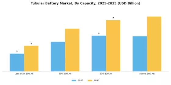 Tubular Battery Market Segment Image 1