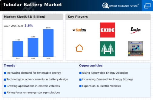 Tubular Battery Market Infographic