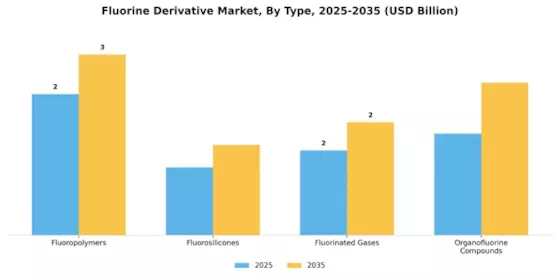 Fluorine Derivative Market Segment Image 3