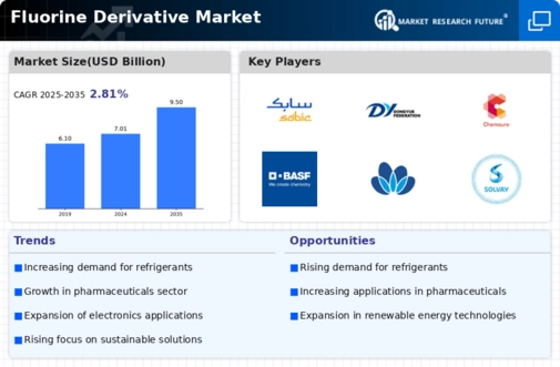 Fluorine Derivative Market Infographic