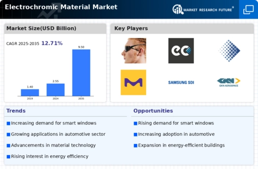 Electrochromic Material Market Infographic