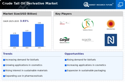 Crude Tall Oil Derivative Market Infographic