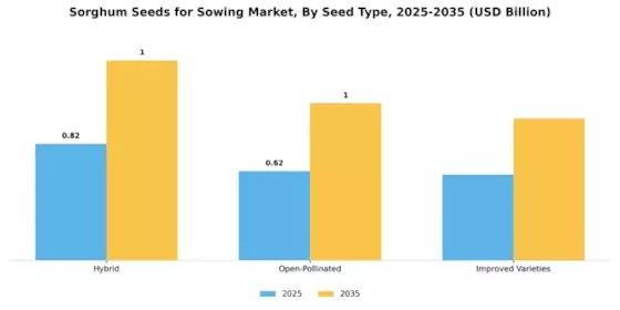Sorghum Seeds For Sowing Market Segment Image 3