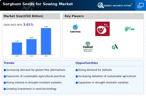 Sorghum Seeds For Sowing Market Infographic