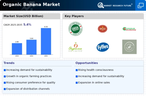Organic Banana Market Infographic
