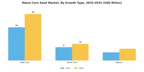 Maize Corn Seed Market Segment Image 1