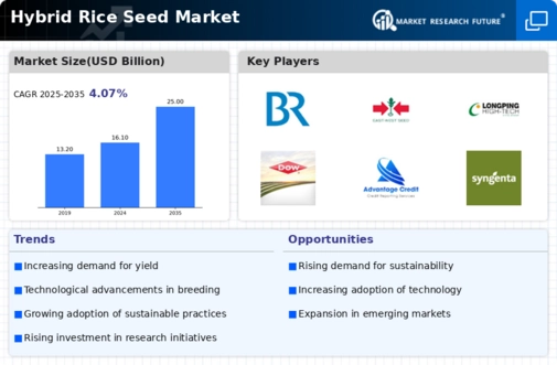 Hybrid Rice Seed Market Infographic