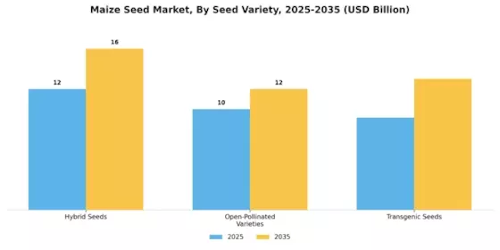Maize Seed Market Segment Image 3