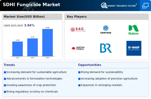 Sdhi Fungicide Market Infographic