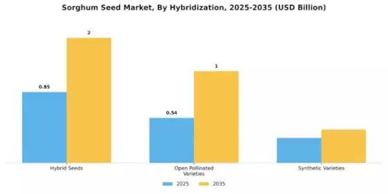 Sorghum Seed Market Segment Image 2