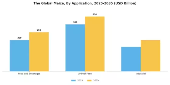 Maize Market Segment Image 0