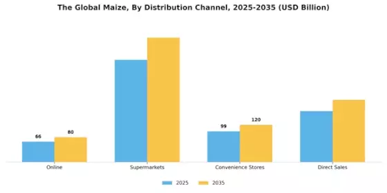 Maize Market Segment Image 1