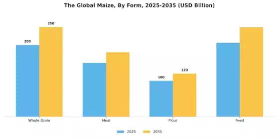 Maize Market Segment Image 2